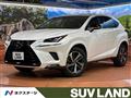 2019 Lexus NX
