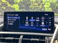 2019 Lexus NX