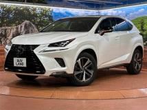2019 Lexus NX