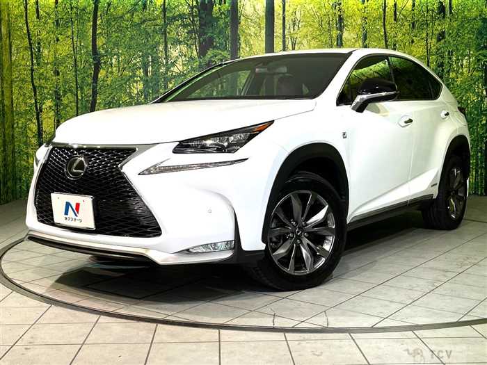 2016 Lexus NX