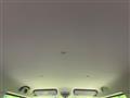 2015 Suzuki Suzuki Others