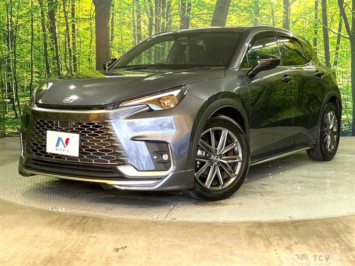2024 Lexus Other