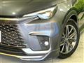 2024 Lexus Other