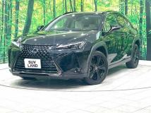 2020 Lexus Other