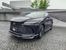 2025 Lexus RX