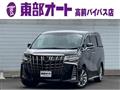 2022 Toyota Alphard G