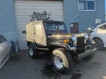 1995 Mitsubishi Jeep