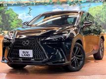 2022 Lexus NX