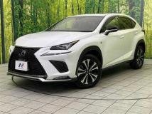 2019 Lexus NX