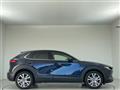2019 Mazda CX-3