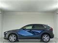 2019 Mazda CX-3