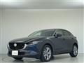 2019 Mazda CX-3