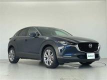2019 Mazda CX-3