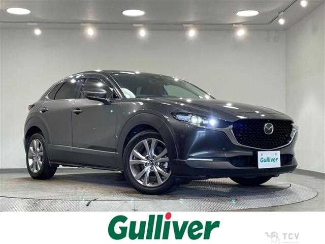 2019 Mazda CX-3