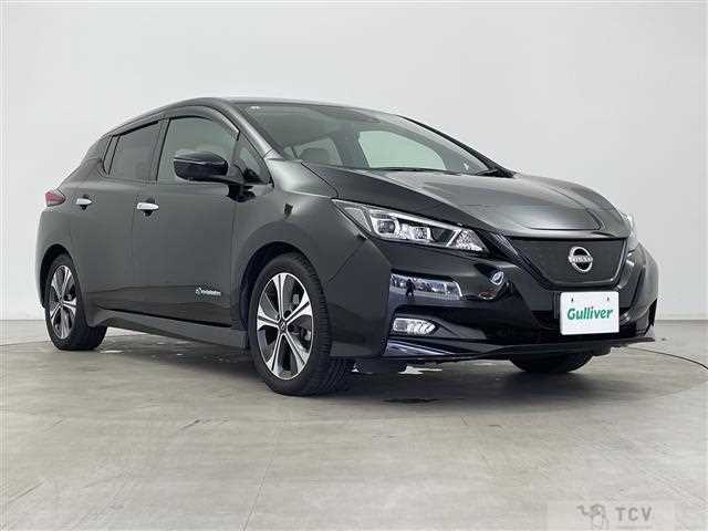 2021 Nissan Leaf