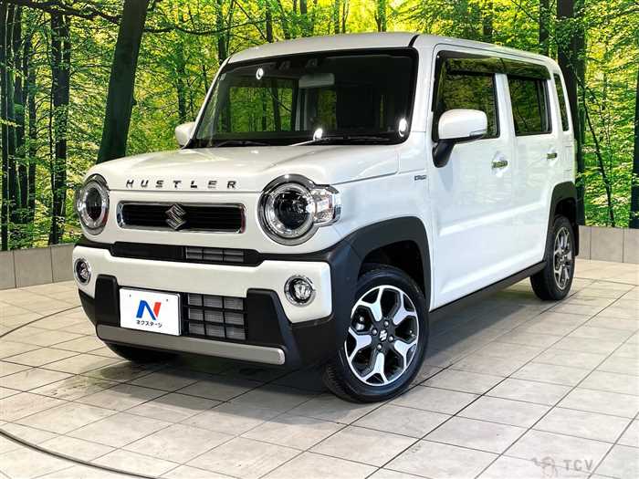 2025 Suzuki Hustler