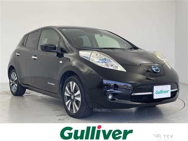2016 Nissan Leaf