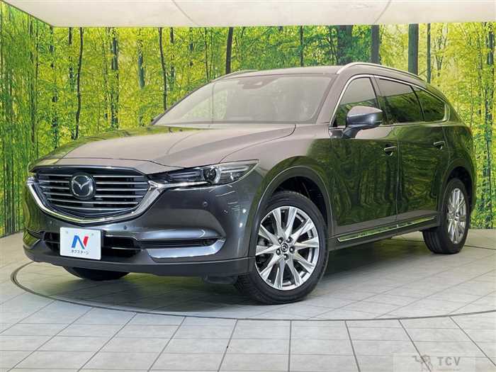 2018 Mazda CX-8