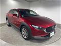 2019 Mazda CX-3