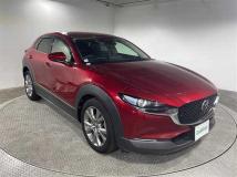 2019 Mazda CX-3