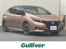 2022 Nissan Leaf