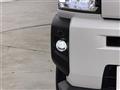 2021 Daihatsu Taft