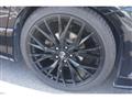 2007 Nissan Elgrand