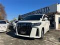 2022 Toyota Alphard G