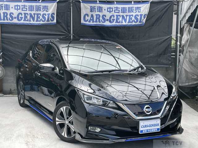 2019 Nissan Nissan Others