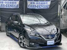2019 Nissan Nissan Others
