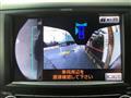 2009 Toyota Alphard G