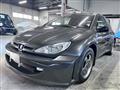 2002 Peugeot 206