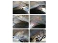 2003 Nissan Nissan Others