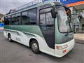 2004 Toyota Coaster