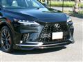 2025 Lexus RX