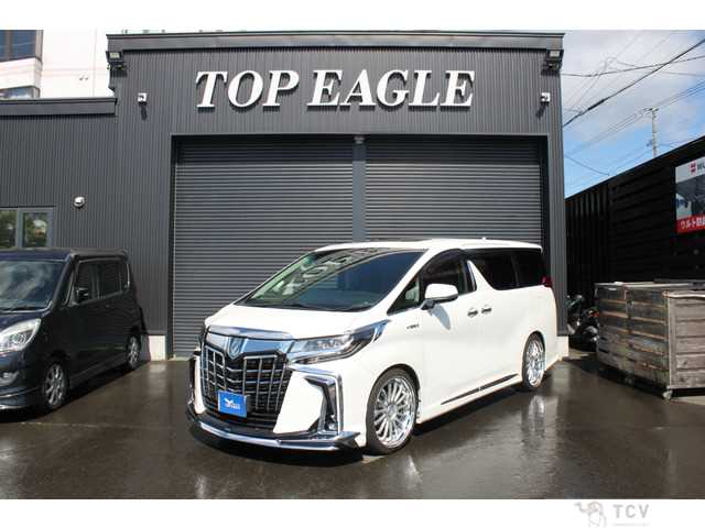 2019 Toyota Alphard G