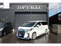 2019 Toyota Alphard G