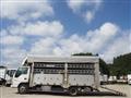 2004 Isuzu Isuzu Others