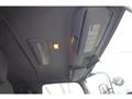 2009 Isuzu Isuzu Others
