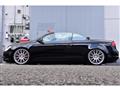 2008 Volkswagen EOS