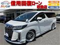 2017 Toyota Alphard G