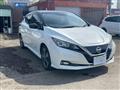 2018 Nissan Nissan Others