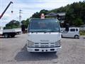 2010 Isuzu Isuzu Others