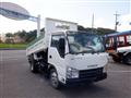2010 Isuzu Isuzu Others