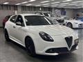 2019 Alfa Romeo Alfa Romeo Others