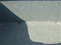 2000 Volkswagen New Beetle