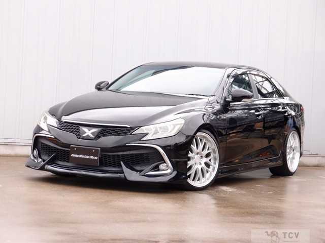 2010 Toyota Mark X