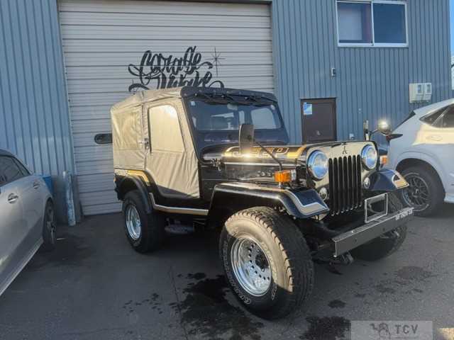 1995 Mitsubishi Jeep