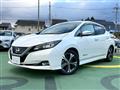 2017 Nissan Nissan Others