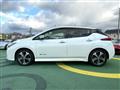 2017 Nissan Nissan Others